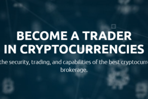 yorkpro, trading, brokerage