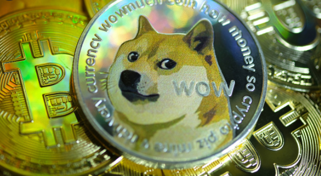 dogecoin dogecoin