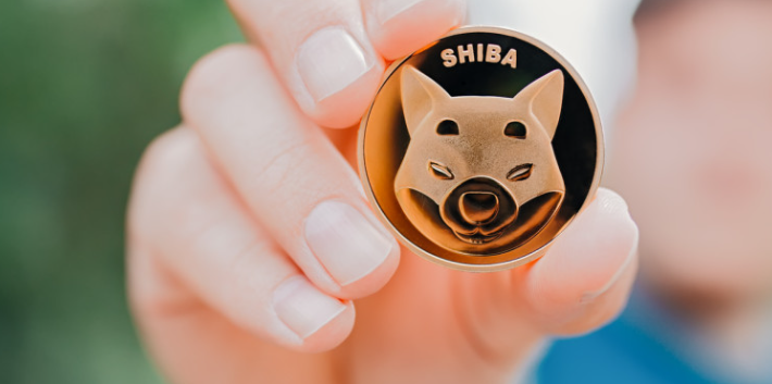 shiba inu shiba inu